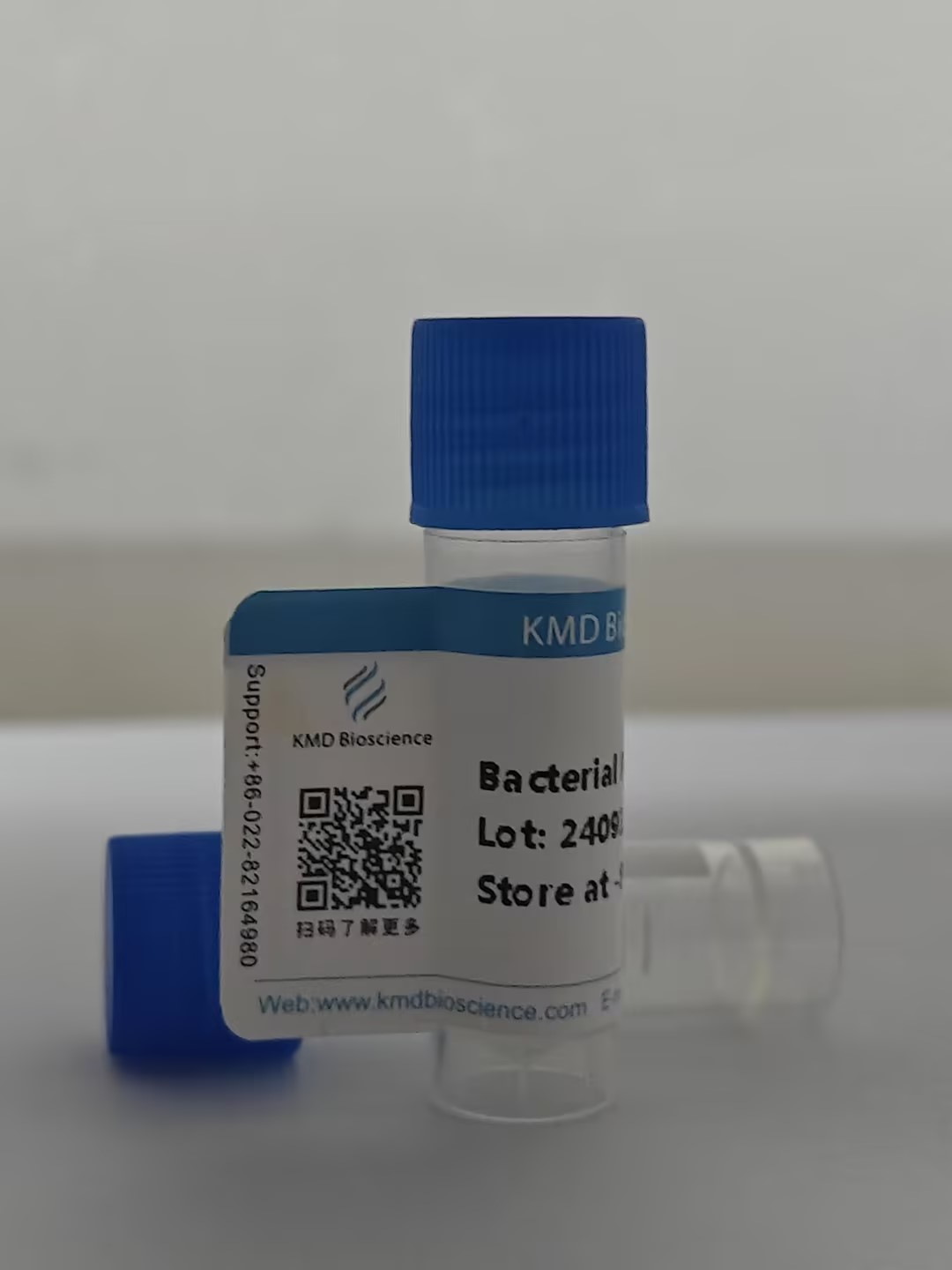Streptococcus suis sao protein